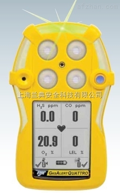 便携式气检仪LDQT-XWHM-A-Y 高效检测与可靠安全的工业伴侣